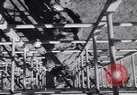 Image United States Army 503e Bataillon de parachutistes Fort Benning Georgia USA, 1941, de la seconde 14 séquences d'archives historiques vidéo 65675039374