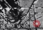 Image United States Army 503e Bataillon de parachutistes Fort Benning Georgia USA, 1941, de la seconde 17 séquences d'archives historiques vidéo 65675039374