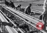 Image United States Army 503e Bataillon de parachutistes Fort Benning Georgia USA, 1941, de la seconde 22 séquences d'archives historiques vidéo 65675039374