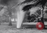 Image of damaged Waikiki residential area Honolulu Hawaii USA, 1941, second 35 stock footage video 65675039382