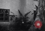 Image of damaged Waikiki residential area Honolulu Hawaii USA, 1941, second 62 stock footage video 65675039382