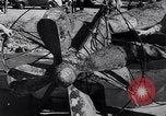 Image of Lieutenant Harry Brown Honolulu Hawaii USA, 1941, second 13 stock footage video 65675039384