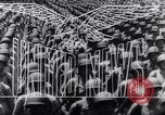 Immagine di Lu Shumin Canada, 1943, secondo 14 filmato di repertorio 65675039389