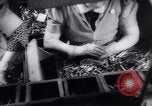 Immagine di Lu Shumin Canada, 1943, secondo 47 filmato di repertorio 65675039389