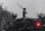 Immagine di Il presidente Franklin D Roosevelt Casablanca in Marocco, 1943, secondo 60 filmato di repertorio 65675039392