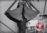 Standbild Koks Los Angeles California USA, 1938, aus Sekunde 50 historischem Filmmaterial Videoclip 65675039395