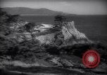 Immagine di Costa di Monterey Bay California United States USA, 1940, secondo 16 filmato di repertorio 65675039409