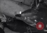 Image of Russian Petlyakov Pe-2 bomber aircraft Moscow Russia Soviet Union, 1941, second 34 stock footage video 65675039421