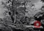 Image of Russian forces down German airplane Russia Soviet Union, 1941, second 20 stock footage video 65675039428