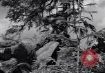 Image of Russian forces down German airplane Russia Soviet Union, 1941, second 22 stock footage video 65675039428