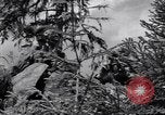 Image of Russian forces down German airplane Russia Soviet Union, 1941, second 24 stock footage video 65675039428