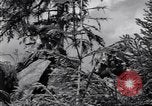Image of Russian forces down German airplane Russia Soviet Union, 1941, second 25 stock footage video 65675039428