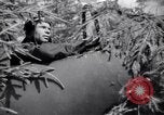 Image of Russian forces down German airplane Russia Soviet Union, 1941, second 28 stock footage video 65675039428