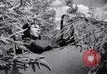 Image of Russian forces down German airplane Russia Soviet Union, 1941, second 29 stock footage video 65675039428