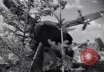 Image of Russian forces down German airplane Russia Soviet Union, 1941, second 31 stock footage video 65675039428