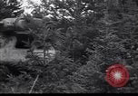Image of Russian forces down German airplane Russia Soviet Union, 1941, second 32 stock footage video 65675039428