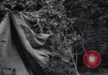 Image of Russian forces down German airplane Russia Soviet Union, 1941, second 37 stock footage video 65675039428