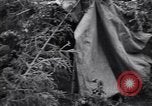 Image of Russian forces down German airplane Russia Soviet Union, 1941, second 38 stock footage video 65675039428