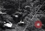 Image of Russian forces down German airplane Russia Soviet Union, 1941, second 39 stock footage video 65675039428