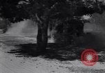 Image of Russian forces down German airplane Russia Soviet Union, 1941, second 58 stock footage video 65675039428