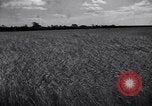 Image of wheat field Moscow Russia Soviet Union, 1941, second 6 stock footage video 65675039430