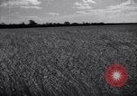Image of wheat field Moscow Russia Soviet Union, 1941, second 7 stock footage video 65675039430