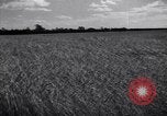 Image of wheat field Moscow Russia Soviet Union, 1941, second 8 stock footage video 65675039430