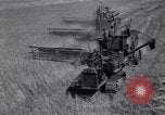Image of wheat field Moscow Russia Soviet Union, 1941, second 15 stock footage video 65675039430