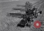 Image of wheat field Moscow Russia Soviet Union, 1941, second 16 stock footage video 65675039430