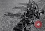 Image of wheat field Moscow Russia Soviet Union, 1941, second 21 stock footage video 65675039430