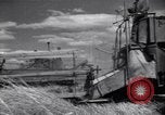Image of wheat field Moscow Russia Soviet Union, 1941, second 30 stock footage video 65675039430