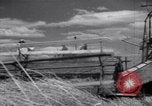 Image of wheat field Moscow Russia Soviet Union, 1941, second 31 stock footage video 65675039430