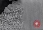 Image of wheat field Moscow Russia Soviet Union, 1941, second 44 stock footage video 65675039430