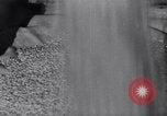 Image of wheat field Moscow Russia Soviet Union, 1941, second 45 stock footage video 65675039430