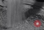 Image of wheat field Moscow Russia Soviet Union, 1941, second 51 stock footage video 65675039430