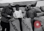 Image of wheat field Moscow Russia Soviet Union, 1941, second 58 stock footage video 65675039430