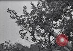 Image of Soviet  forces resisting German invasion in World War 2  Russia Soviet Union, 1941, second 23 stock footage video 65675039434