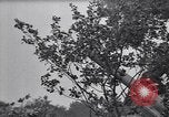 Image of Soviet  forces resisting German invasion in World War 2  Russia Soviet Union, 1941, second 24 stock footage video 65675039434