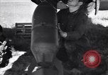 Image of Soviet  forces resisting German invasion in World War 2  Russia Soviet Union, 1941, second 60 stock footage video 65675039434