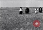 Standbild Wolga deutschen Bauern geschnitten und Heu sammeln Sowjetunion, 1941, aus Sekunde 19 historischem Filmmaterial Videoclip 65675039438