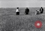 Standbild Wolga deutschen Bauern geschnitten und Heu sammeln Sowjetunion, 1941, aus Sekunde 20 historischem Filmmaterial Videoclip 65675039438