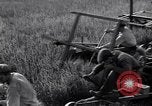 Standbild Wolga deutschen Bauern geschnitten und Heu sammeln Sowjetunion, 1941, aus Sekunde 27 historischem Filmmaterial Videoclip 65675039438