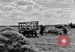 Standbild Wolga deutschen Bauern geschnitten und Heu sammeln Sowjetunion, 1941, aus Sekunde 45 historischem Filmmaterial Videoclip 65675039438