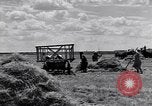 Standbild Wolga deutschen Bauern geschnitten und Heu sammeln Sowjetunion, 1941, aus Sekunde 46 historischem Filmmaterial Videoclip 65675039438