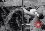 Standbild Wolga deutschen Bauern geschnitten und Heu sammeln Sowjetunion, 1941, aus Sekunde 51 historischem Filmmaterial Videoclip 65675039438