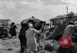 Standbild Wolga deutschen Bauern geschnitten und Heu sammeln Sowjetunion, 1941, aus Sekunde 55 historischem Filmmaterial Videoclip 65675039438
