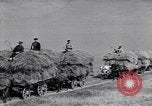 Standbild Wolga deutschen Bauern geschnitten und Heu sammeln Sowjetunion, 1941, aus Sekunde 58 historischem Filmmaterial Videoclip 65675039438