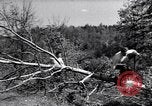 Image of Young men train for wartime service Soviet Union, 1941, second 39 stock footage video 65675039440
