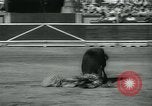 Image of San Fermin Festival Running of the Bulls Pamplona Spain, 1959, second 62 stock footage video 65675039451