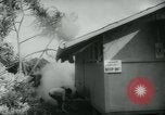 Standbild Kilauea-vulkans Kapoho Hawaii USA, 1960, aus Sekunde 26 historischem Filmmaterial Videoclip 65675039454